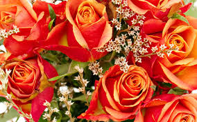 Flowers by carole of westbury. Westbury Floral Design Flower Shop In Westbury Ny Westbury Flower Delivery