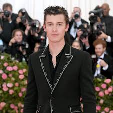 Shawn peter raul mendes (/ˈmɛndɛz/; Shawn Mendes Attended Met Gala 2019 Without A Date One Year After Going With Hailey Bieber Teen Vogue