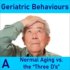 Image result for Geriatric Links