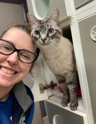 Meet Our Caring Pet Care Team