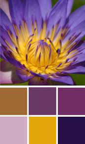 Maybe you would like to learn more about one of these? Nicola Holden Designs Contemporary Interior Designer London Color Palette Yellow Gold Color Palettes Purple Color Palettes