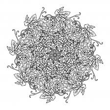 Donne une note à ce dessin : Vignes A Colorier Illustration Vecteur De Vigne Contour Noir Dimensions Isolated On White Coloriage Fruit Avec Des Feuilles Des Rameaux Et Baies Image Vectorielle Stock Alamy Browse The User Profile