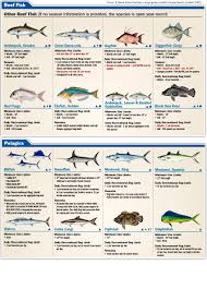 Florida Fish Regulations