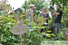 Focus Sur Le Rosier Liane Paul S Himalayan Musk Un Geant Les Jardins De Malorie En 2020 Arbustes A Fleurs Taille Des Arbustes Vivaces Couvre Sol