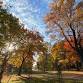 Tree Walk with Cam Kanterman — The Brookdale Park event image