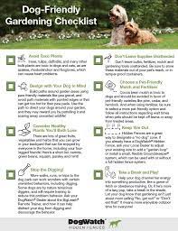 Spring Is Here At Last Before You Start Work On Your Latest Gardening Project Check Out Our Dog Dog Friendly Garden Dog Friendly Plants Dog Friendly Backyard