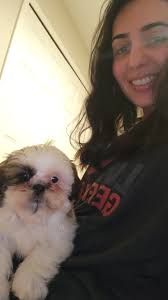 New mom with seven adorable puppies