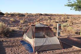 The park takes its name from the remnants of ancient trees which have been transformed into brilliantly colored minerals through a series of geological processes. A Prehistoric Paradise Camping The Petrified Forest National Park