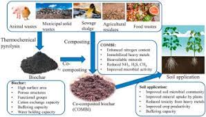 We put our charcoal ash in our compost heap last fall, before we read your tip warning about charcoal ash. The Roles Of Co Composted Biochar Combi In Improving Soil Quality Crop Productivity And Toxic Metal Amelioration Sciencedirect