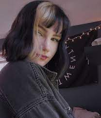 Ig Le Pourri Short Grunge Hair Short Dyed Hair Aesthetic Hair