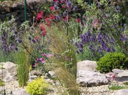 The tall flower spires are a great backdrop for smaller, more delicate plants in front. Seaside Cottage Garden Marine Plants Maritim Garten London Von Leaf And Acre Ltd Houzz