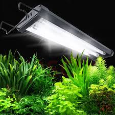 Odyssea T5ho 18 24 36 48 60 Inch 18w 24w 36w 54w 80w Seawater Coral Fish Tank Water Grass Plant T5 Lamp Filters Accessories Aliexpress
