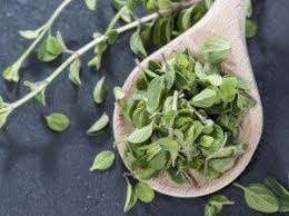 Fresh thyme can be used as oregano alternative to due to its resemblance in taste and looks. What S A Good Oregano Substitute Oregano Substitute Oregano Fresh Oregano