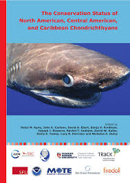 PDF) The Conservation Status of North American, Central American, and  Caribbean Chondrichthyans