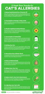 Home Remedies For Cats Allergies Cat Allergies Cat Allergy Remedies Healthy Pets