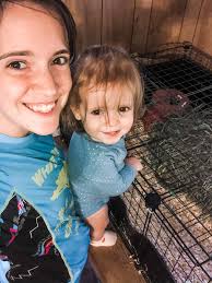 Is there a lost and found at Woolly Hollow?