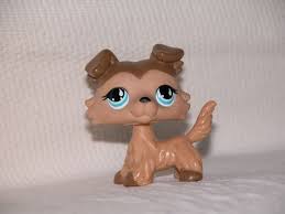 Lps Littlest Pet Shop Purple Collie 672 Authentic Ebay Lps Collies Lps Toys Littlest Pet Shop