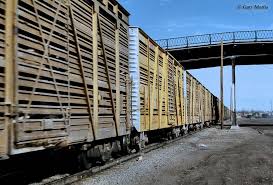 The Cattle Car Stock Car Rail Car Train Tracks Stock Car