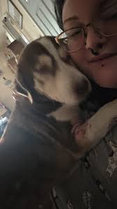 COMMENT QUESTIONS AND SUGGESTIONS OR INFO ON THE ORIGINAL POST TO THE FINDER