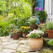 Build the backyard deck of your dreams with our wide assortment of decking materials available online or in store at your local the home depot. 15 Best Patio Plants Outdoor Patio Plants Ideas