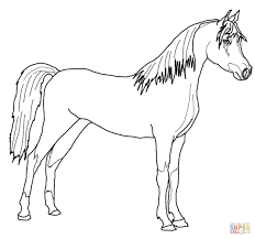 Kleurplaat Paard Afdrukken