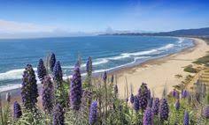 23 Best Marin County Beaches Images California Beach