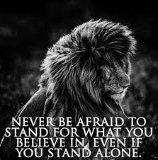 265 Motivational Inspirational Quotes About Life To Succeed Warrior Quotes Lion Quotes Inspirational Quotes Motivation