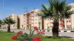 عدد الحالات لكل مليون شخص. Ø§Ù„Ø¨ÙˆØ§Ø¨Ø© Ù†ÙŠÙˆØ² ØªÙ†Ù…ÙŠØ© Ø£Ø³ÙˆØ§Ù† Ø§Ù„Ø¬Ø¯ÙŠØ¯Ø© ØªØ³Ù„ÙŠÙ… 1000 ÙˆØ­Ø¯Ø© Ø³ÙƒÙ†ÙŠØ© ÙÙŠ ÙŠÙˆÙ†ÙŠÙˆ 2019