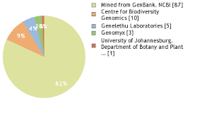 Image result for Berkheya bipinnatifida