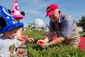 Ocean Spray S Cranberry Bog Is Back At The Epcot International Food Wine Festival