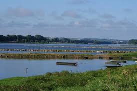 Balade Entre Bouchemaine Et La Pointe Balade Visite Maine Et Loire