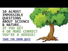 Thanks to all who took part in our nature trivia quiz. Science Nature Trivia Quiz Youtube