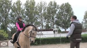 Profile page of athlete gregory wathelet disciplines: Gregory Wathelet Professeur D Equitation Surprise Youtube
