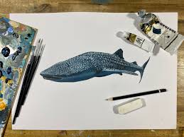 Willow the Whale Shark" update