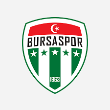 Namik alaskarov azerbaycan milli takımı'. Bursaspor Crest