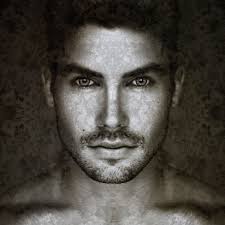 Hybrids — Skoto Art