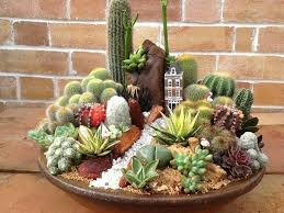Pedacito De Amor Mini Jardins Decoration Jardin Jardinage Deco