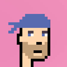 13 collections launched