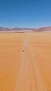 Image result for Schmidtia kalahariensis