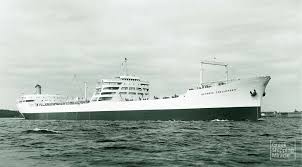 Image result for Tuerkis 1969 Fleet