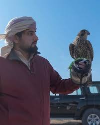 ahmed bin mohammed bin rashid al maktoum uzbekistan 10 2020 my prince charming green home decor prince crown