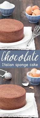 Chocolate Italian Sponge Cake Recipe Desserts No Bake Cake Cake Recipes