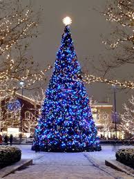 Wandering The Good Blue Christmas Tree Blue Christmas Beautiful Christmas