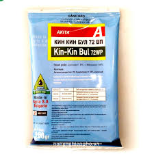 Kin-kin Bul 72WP