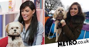 And lastly, please enjoy this photo of david hasselhoff eating a hot dog as his own hot dog looks on, concerned. Britain S Got Talent 2011 Singing Dog Buddy Hit By Van Metro News