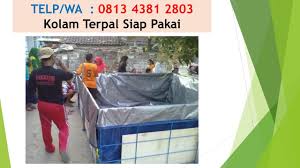 Kolam Ikan Terpal Kolam Ikan Terpal Mini Kolam Ikan Terpal Minimalis Kolam Ikan Terpal Bulat Kolam Ikan Terpal Batako Kolam Ikan Terp Kolam Surabaya Ikan