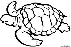 Dans la catégorie dessins de joaillerie. Coloriage Tortue Marine Dessin Animaux A Imprimer