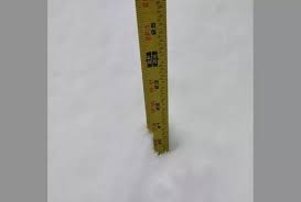 Albany Snow Prediction Rises For Saturday 'Bomb Cyclone'