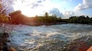 Transpiratia serveste unui scop esential: Pescuit La Somn Naluca Suprema Blog Totalfishing