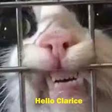 Multiple sizes available for all screen sizes. Swipe Can Someone See The Resemblance Follow Lecaturdayclub For Your Daily Dose Of Cuteness Catme Funny Memes Images Horror Movies Memes Hello Clarice